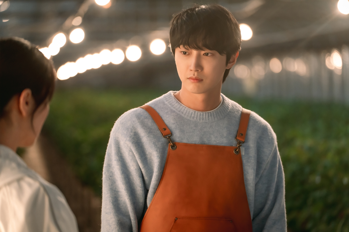 Still Cut
